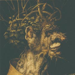Arcimboldo Winter 1563 Public Domain